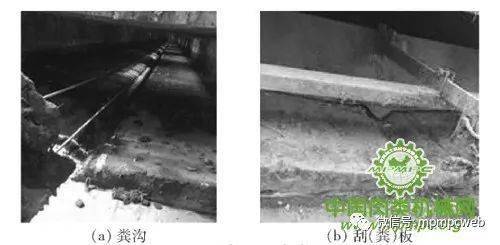 生猪养殖设施工程技术研究现状与发展分析